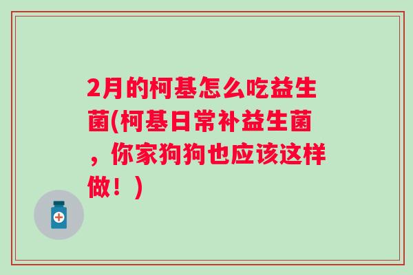 2月的柯基怎么吃益生菌(柯基日常补益生菌,你家狗狗也应该这样做!) 2月的柯基怎么吃益生菌(柯基日常补益生菌,你家狗狗也应该这样做!)