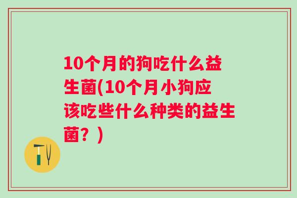 10个月的狗吃什么益生菌(10个月小狗应该吃些什么种类的益生菌？)