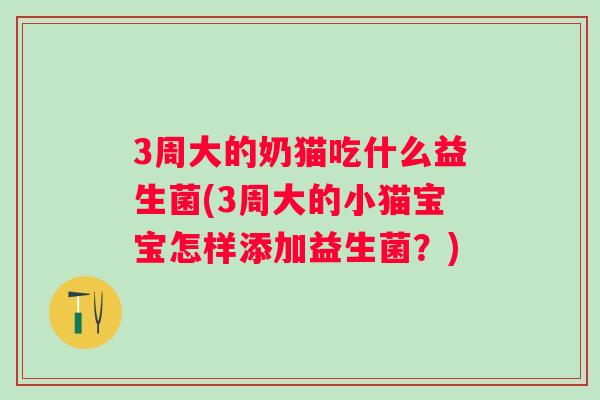 3周大的奶猫吃什么益生菌(3周大的小猫宝宝怎样添加益生菌?) 3周大的奶猫吃什么益生菌(3周大的小猫宝宝怎样添加益生菌?)
