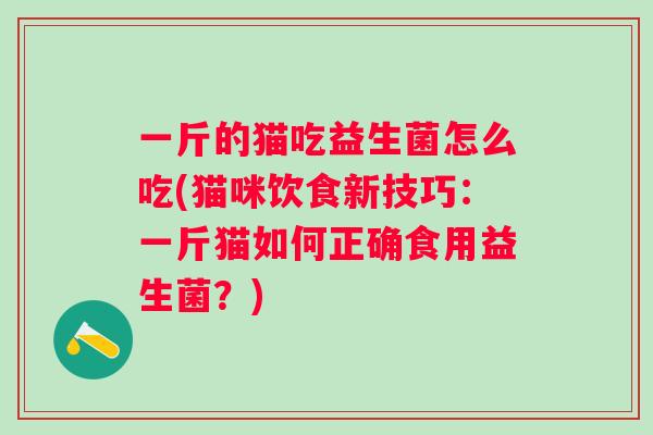 一斤的猫吃益生菌怎么吃(猫咪饮食新技巧：一斤猫如何正确食用益生菌？)