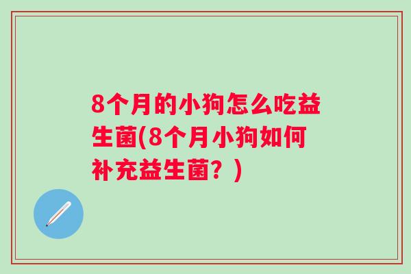 8个月的小狗怎么吃益生菌(8个月小狗如何补充益生菌?) 8个月的小狗怎么吃益生菌(8个月小狗如何补充益生菌?)
