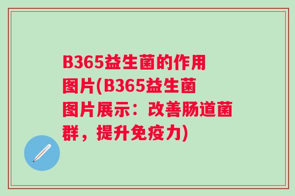 B365益生菌的作用图片(B365益生菌图片展示:改善肠道菌群,提升力) B365益生菌的作用图片(B365益生菌图片展示:改善肠道菌群,提升力)