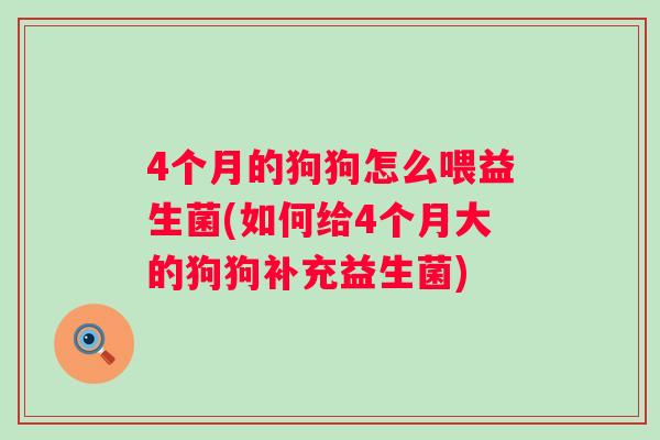 4个月的狗狗怎么喂益生菌(如何给4个月大的狗狗补充益生菌) 4个月的狗狗怎么喂益生菌(如何给4个月大的狗狗补充益生菌)