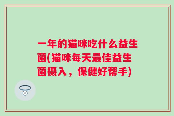 一年的猫咪吃什么益生菌(猫咪每天佳益生菌摄入，保健好帮手)
