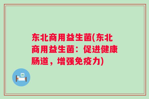 东北商用益生菌(东北商用益生菌：促进健康肠道，增强力)