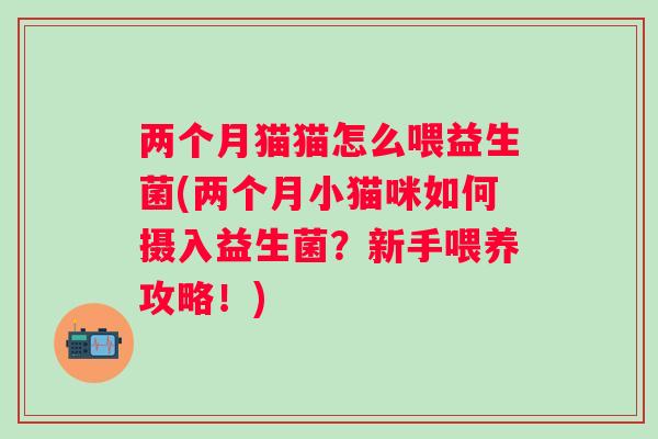 两个月猫猫怎么喂益生菌(两个月小猫咪如何摄入益生菌?新手喂养攻略!) 两个月猫猫怎么喂益生菌(两个月小猫咪如何摄入益生菌?新手喂养攻略!)