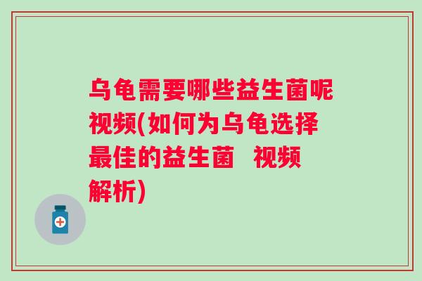 乌龟需要哪些益生菌呢视频(如何为乌龟选择佳的益生菌  视频解析)