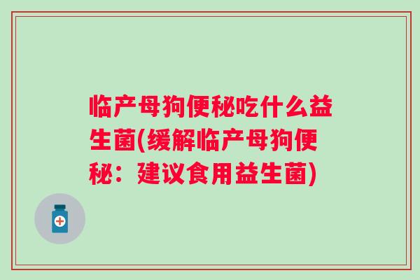 临产母狗吃什么益生菌(缓解临产母狗：建议食用益生菌)