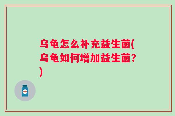 乌龟怎么补充益生菌(乌龟如何增加益生菌?) 乌龟怎么补充益生菌(乌龟如何增加益生菌?)