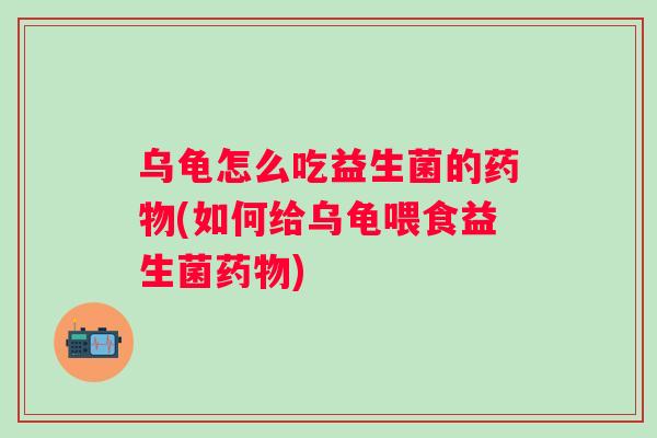 乌龟怎么吃益生菌的(如何给乌龟喂食益生菌) 乌龟怎么吃益生菌的(如何给乌龟喂食益生菌)