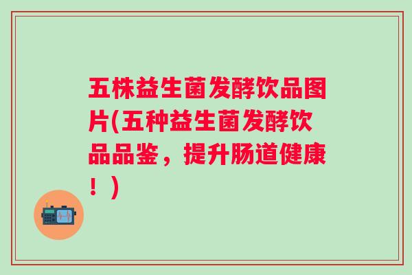 五株益生菌发酵饮品图片(五种益生菌发酵饮品品鉴，提升肠道健康！)