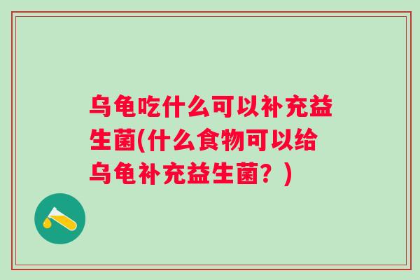 乌龟吃什么可以补充益生菌(什么食物可以给乌龟补充益生菌?) 乌龟吃什么可以补充益生菌(什么食物可以给乌龟补充益生菌?)