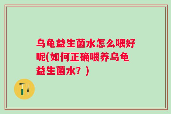 乌龟益生菌水怎么喂好呢(如何正确喂养乌龟益生菌水?) 乌龟益生菌水怎么喂好呢(如何正确喂养乌龟益生菌水?)