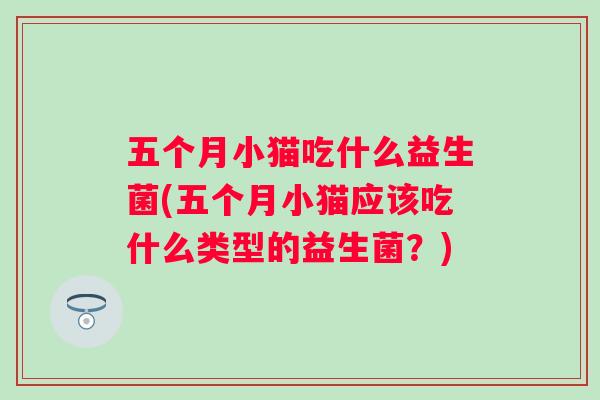 五个月小猫吃什么益生菌(五个月小猫应该吃什么类型的益生菌?) 五个月小猫吃什么益生菌(五个月小猫应该吃什么类型的益生菌?)