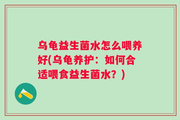 乌龟益生菌水怎么喂养好(乌龟养护:如何合适喂食益生菌水?) 乌龟益生菌水怎么喂养好(乌龟养护:如何合适喂食益生菌水?)
