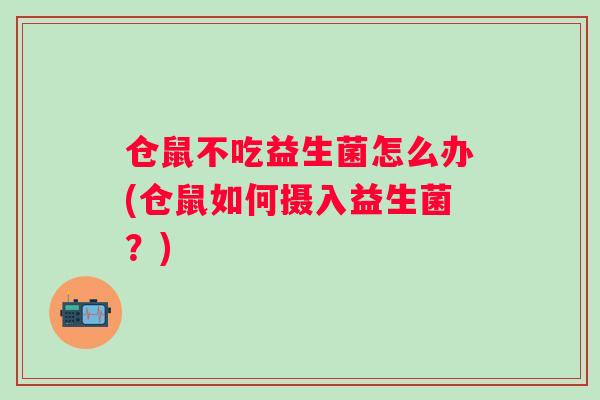 仓鼠不吃益生菌怎么办(仓鼠如何摄入益生菌？)