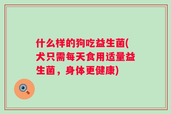 什么样的狗吃益生菌(犬只需每天食用适量益生菌,身体更健康) 什么样的狗吃益生菌(犬只需每天食用适量益生菌,身体更健康)