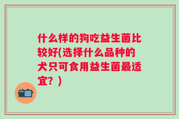 什么样的狗吃益生菌比较好(选择什么品种的犬只可食用益生菌适宜?) 什么样的狗吃益生菌比较好(选择什么品种的犬只可食用益生菌适宜?)