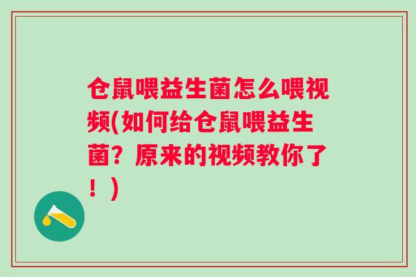 仓鼠喂益生菌怎么喂视频(如何给仓鼠喂益生菌?原来的视频教你了!) 仓鼠喂益生菌怎么喂视频(如何给仓鼠喂益生菌?原来的视频教你了!)
