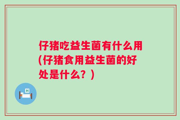 仔猪吃益生菌有什么用(仔猪食用益生菌的好处是什么?) 仔猪吃益生菌有什么用(仔猪食用益生菌的好处是什么?)