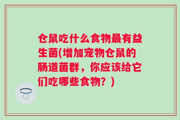 仓鼠吃什么食物有益生菌(增加宠物仓鼠的肠道菌群，你应该给它们吃哪些食物？)