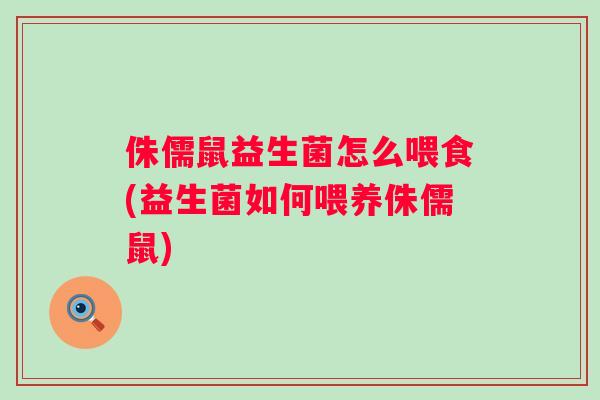 侏儒鼠益生菌怎么喂食(益生菌如何喂养侏儒鼠) 侏儒鼠益生菌怎么喂食(益生菌如何喂养侏儒鼠)