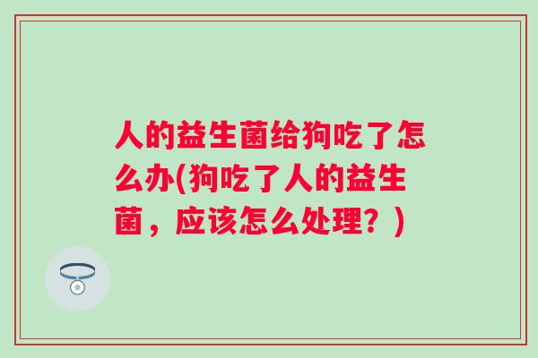 人的益生菌给狗吃了怎么办(狗吃了人的益生菌,应该怎么处理?) 人的益生菌给狗吃了怎么办(狗吃了人的益生菌,应该怎么处理?)