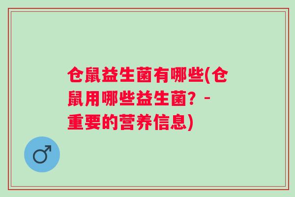 仓鼠益生菌有哪些(仓鼠用哪些益生菌？- 重要的营养信息)