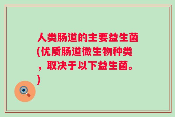 人类肠道的主要益生菌(优质肠道微生物种类,取决于以下益生菌。) 人类肠道的主要益生菌(优质肠道微生物种类,取决于以下益生菌。)