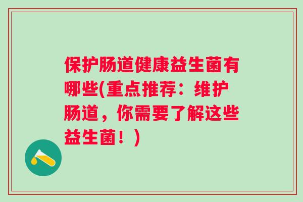 保护肠道健康益生菌有哪些(重点推荐:维护肠道,你需要了解这些益生菌!) 保护肠道健康益生菌有哪些(重点推荐:维护肠道,你需要了解这些益生菌!)