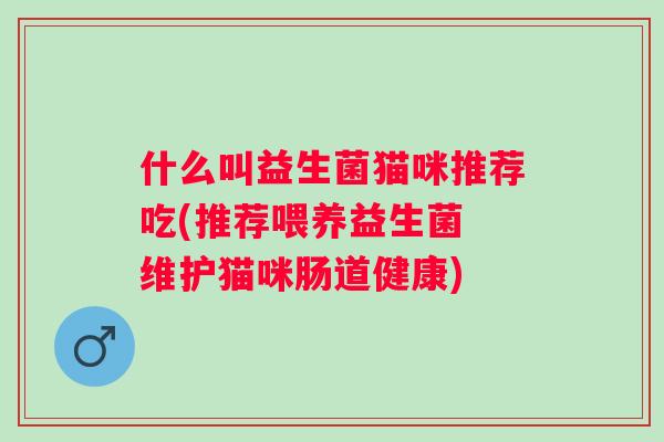 什么叫益生菌猫咪推荐吃(推荐喂养益生菌 维护猫咪肠道健康)