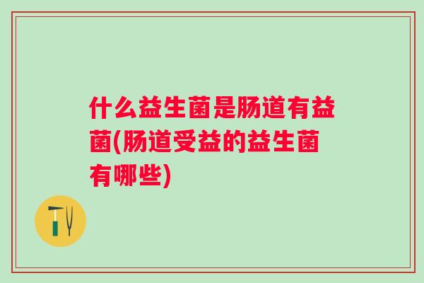 什么益生菌是肠道有益菌(肠道受益的益生菌有哪些)
