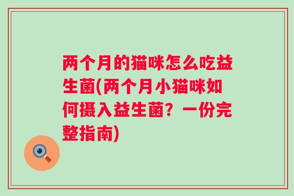 两个月的猫咪怎么吃益生菌(两个月小猫咪如何摄入益生菌？一份完整指南)