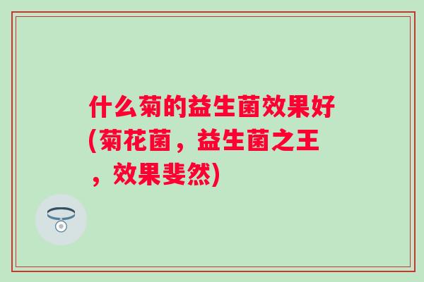 什么菊的益生菌效果好(菊花菌，益生菌之王，效果斐然)