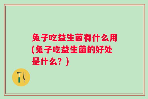兔子吃益生菌有什么用(兔子吃益生菌的好处是什么？)