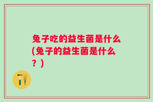 兔子吃的益生菌是什么(兔子的益生菌是什么？)