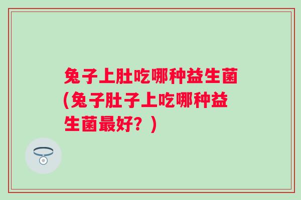 兔子上肚吃哪种益生菌(兔子肚子上吃哪种益生菌好？)