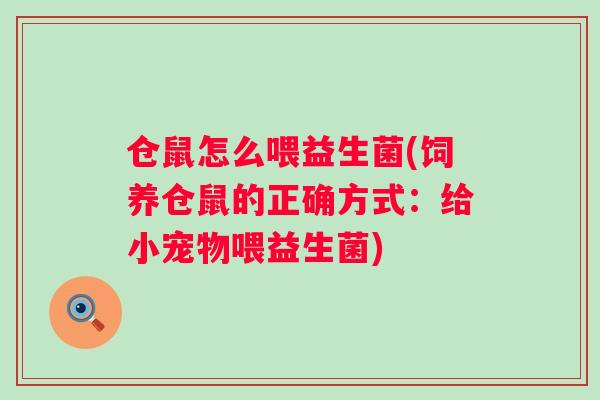 仓鼠怎么喂益生菌(饲养仓鼠的正确方式：给小宠物喂益生菌)