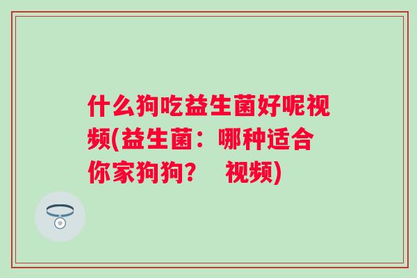 什么狗吃益生菌好呢视频(益生菌:哪种适合你家狗狗? 视频) 什么狗吃益生菌好呢视频(益生菌:哪种适合你家狗狗? 视频)