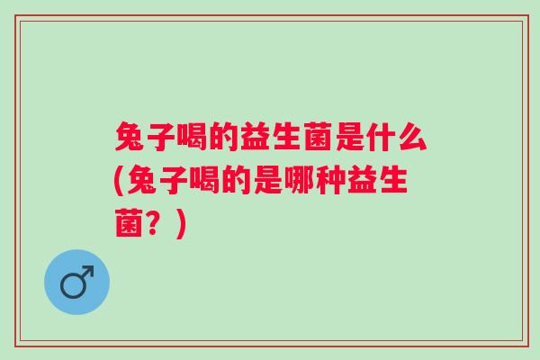兔子喝的益生菌是什么(兔子喝的是哪种益生菌?) 兔子喝的益生菌是什么(兔子喝的是哪种益生菌?)