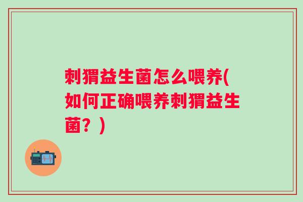 刺猬益生菌怎么喂养(如何正确喂养刺猬益生菌？)