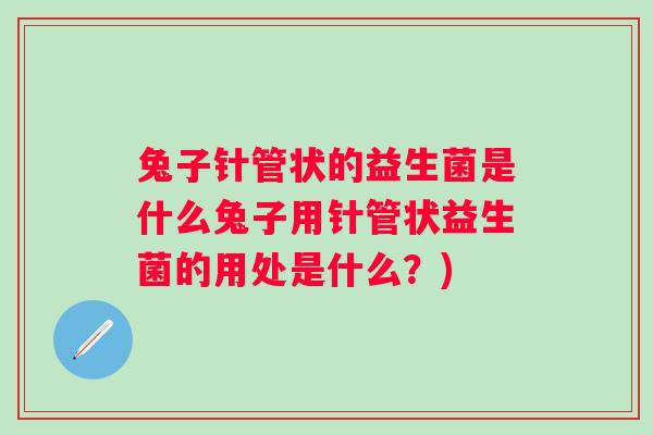 兔子针管状的益生菌是什么兔子用针管状益生菌的用处是什么？)