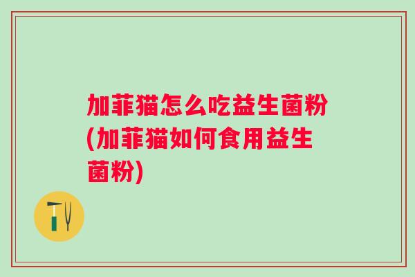 加菲猫怎么吃益生菌粉(加菲猫如何食用益生菌粉)