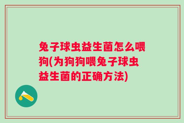 兔子球虫益生菌怎么喂狗(为狗狗喂兔子球虫益生菌的正确方法)