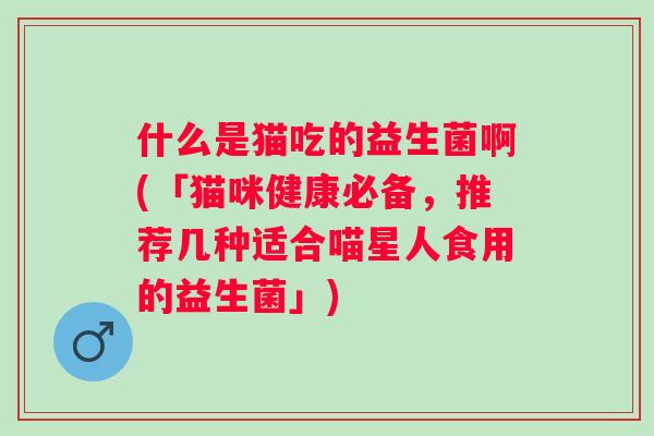 什么是猫吃的益生菌啊(「猫咪健康必备，推荐几种适合喵星人食用的益生菌」)
