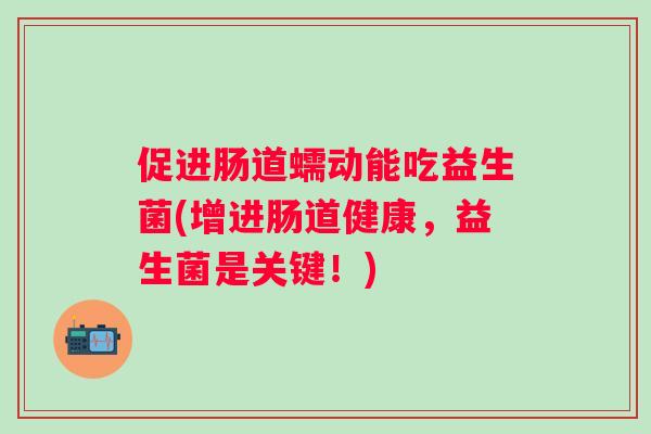 促进肠道蠕动能吃益生菌(增进肠道健康,益生菌是关键!) 促进肠道蠕动能吃益生菌(增进肠道健康,益生菌是关键!)