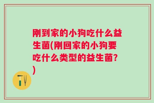 刚到家的小狗吃什么益生菌(刚回家的小狗要吃什么类型的益生菌？)