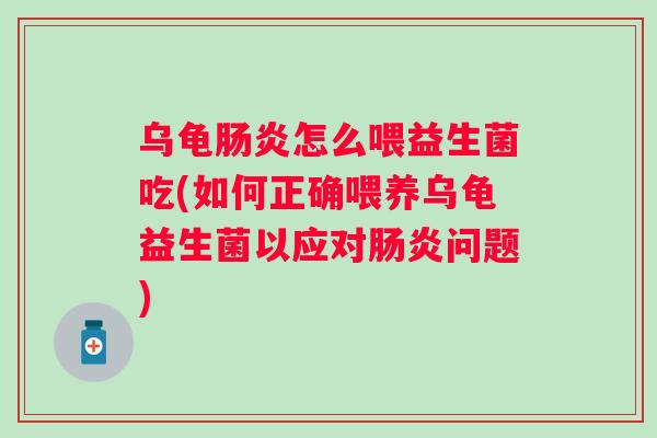乌龟怎么喂益生菌吃(如何正确喂养乌龟益生菌以应对问题) 乌龟怎么喂益生菌吃(如何正确喂养乌龟益生菌以应对问题)