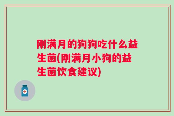 刚满月的狗狗吃什么益生菌(刚满月小狗的益生菌饮食建议)