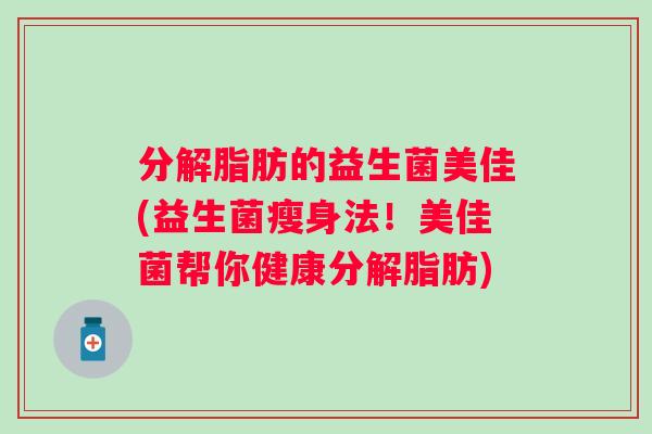 分解脂肪的益生菌美佳(益生菌瘦身法！美佳菌帮你健康分解脂肪)